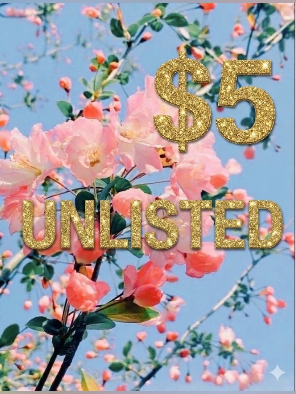 $5 UNLISTED ITEMS